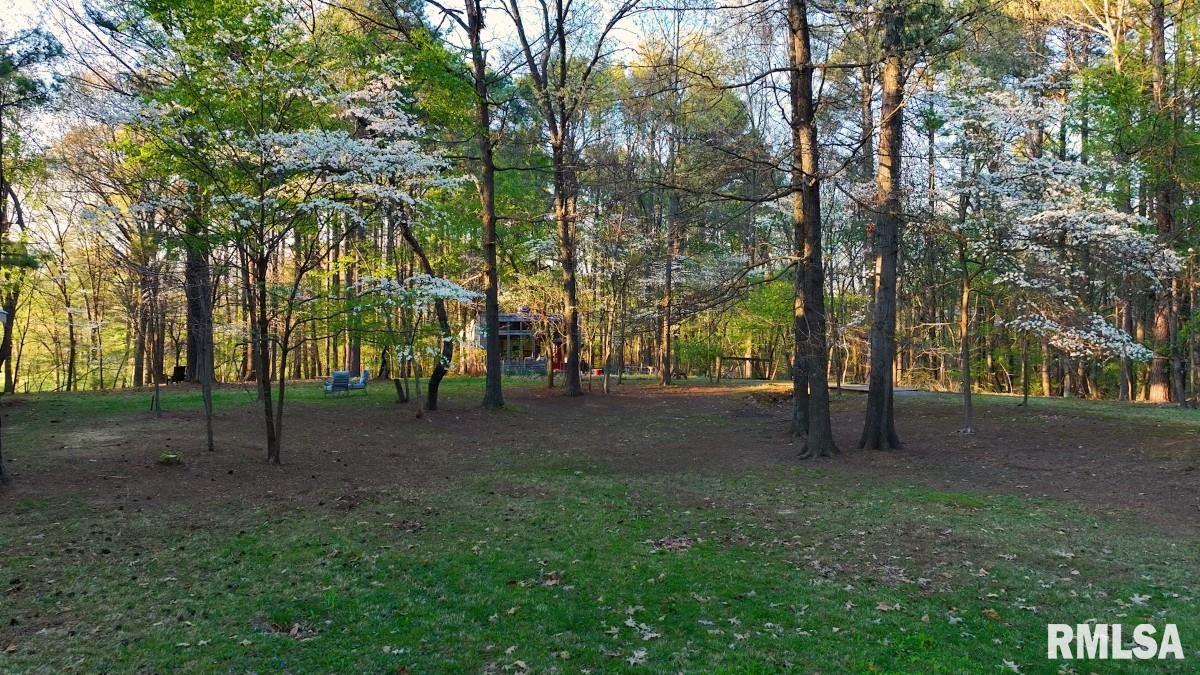 15247 Laminack Road Carterville, IL 62918 - Photo 53 of 57