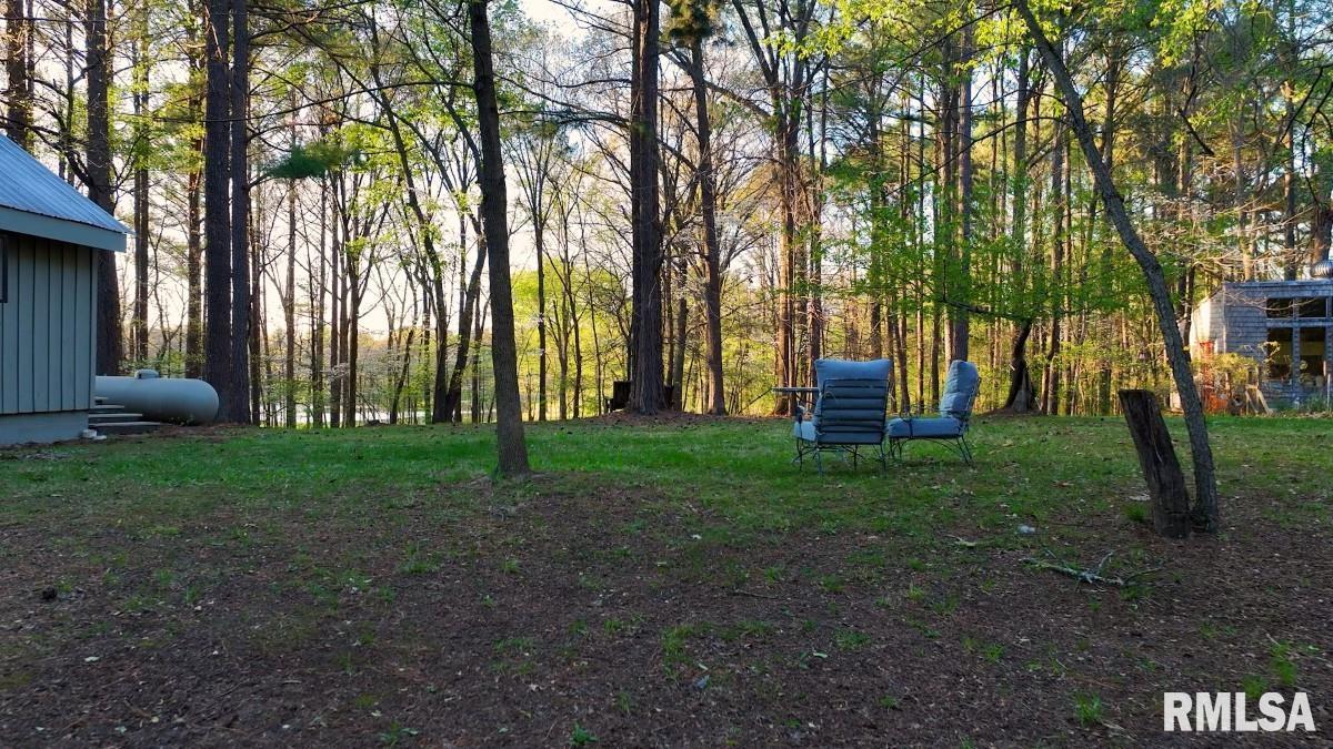 15247 Laminack Road Carterville, IL 62918 - Photo 54 of 57