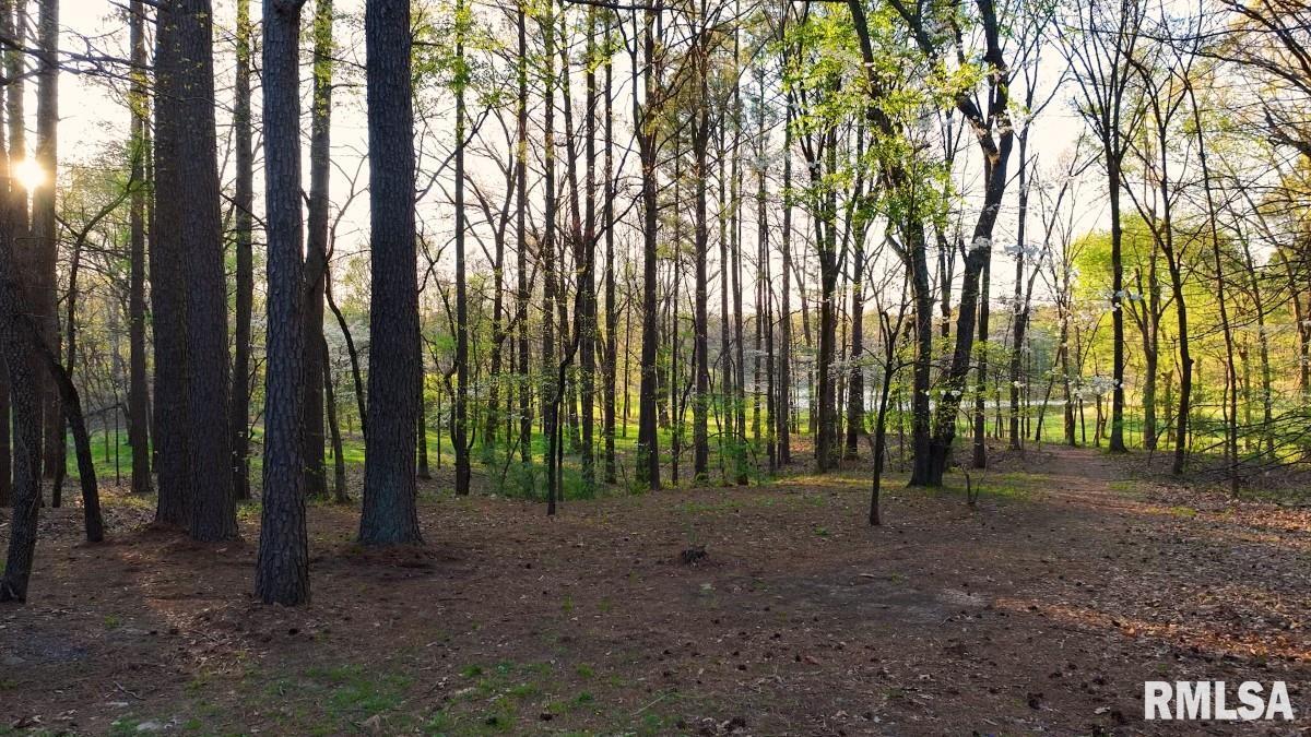 15247 Laminack Road Carterville, IL 62918 - Photo 55 of 57