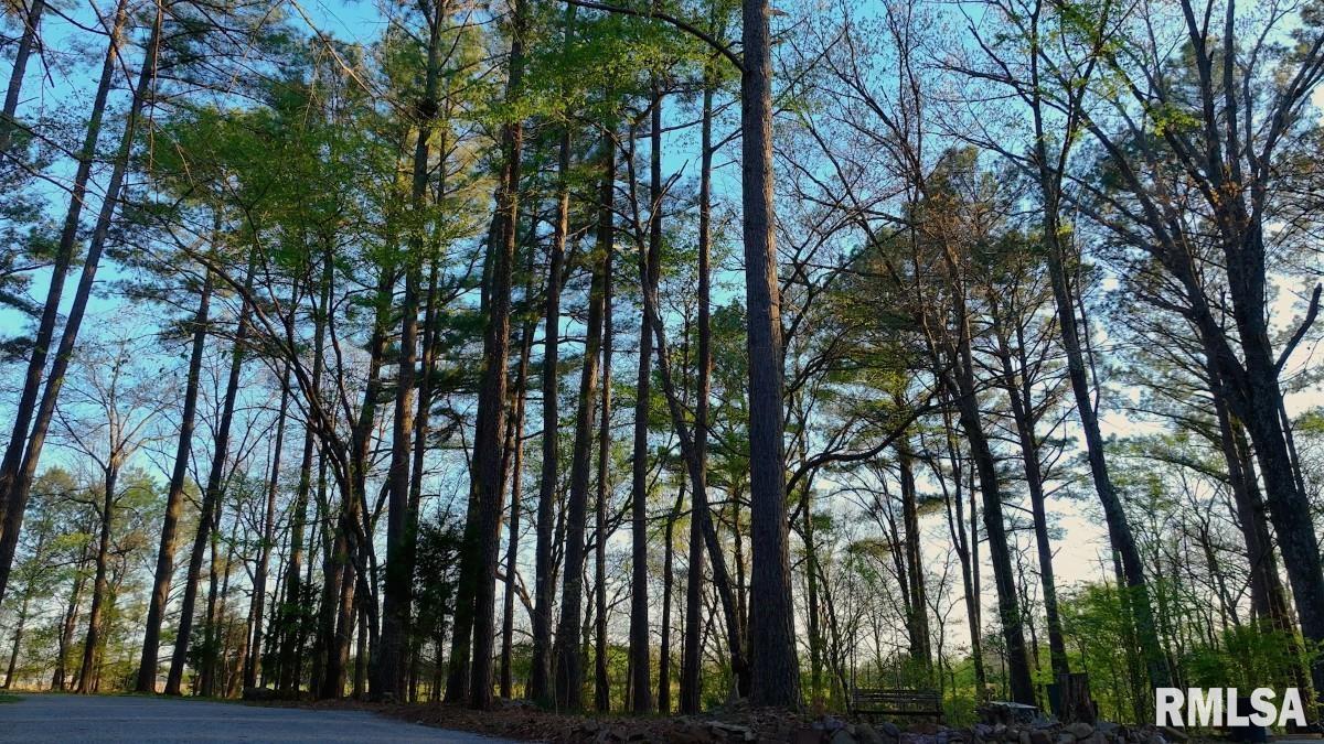 15247 Laminack Road Carterville, IL 62918 - Photo 56 of 57