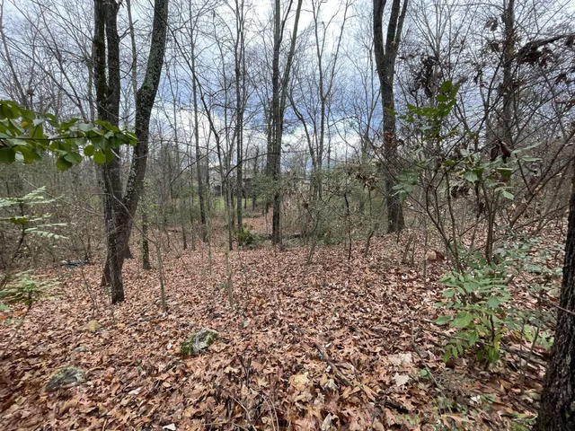 $55,000 | 1325 Timbercrest Lane, Chattanooga, TN 37421