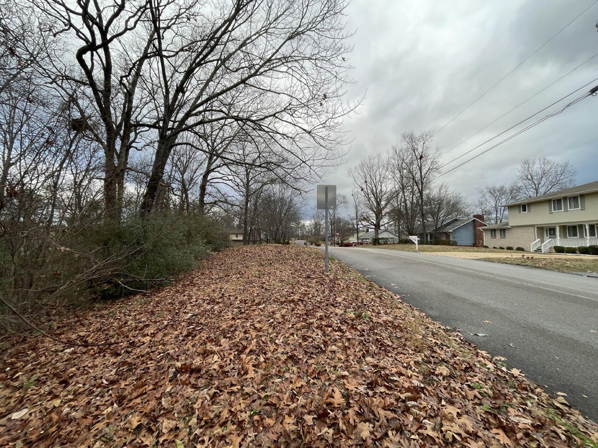 1325 Timbercrest Lane Chattanooga, TN 37421 - Photo 4 of 5 20250110171942654780000000-o