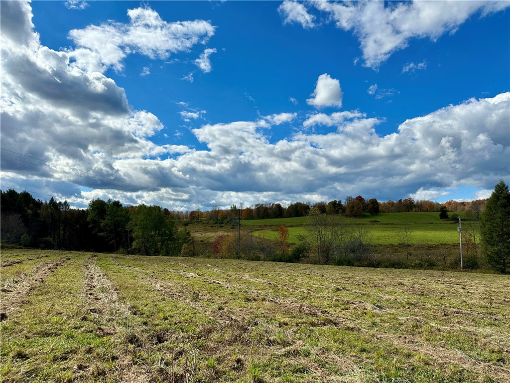 0 Jackson Hill Road Treadwell, NY 13846 - Photo 7 of 16