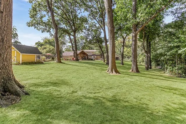a view of green field with trees in the background