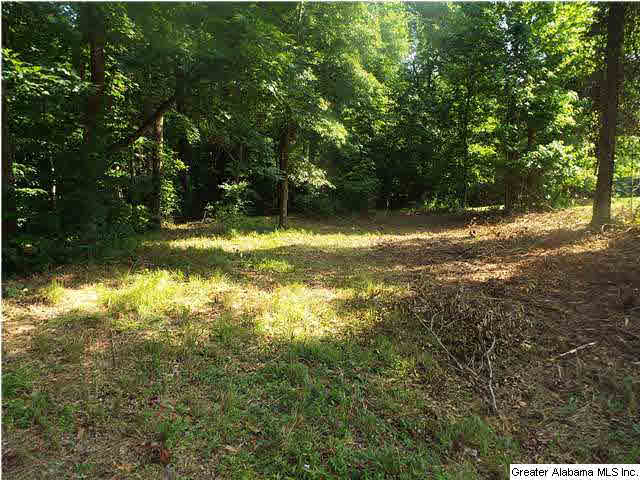 Riverview Court, Unit 114 Cleveland, AL 35049 - Photo 11 of 13