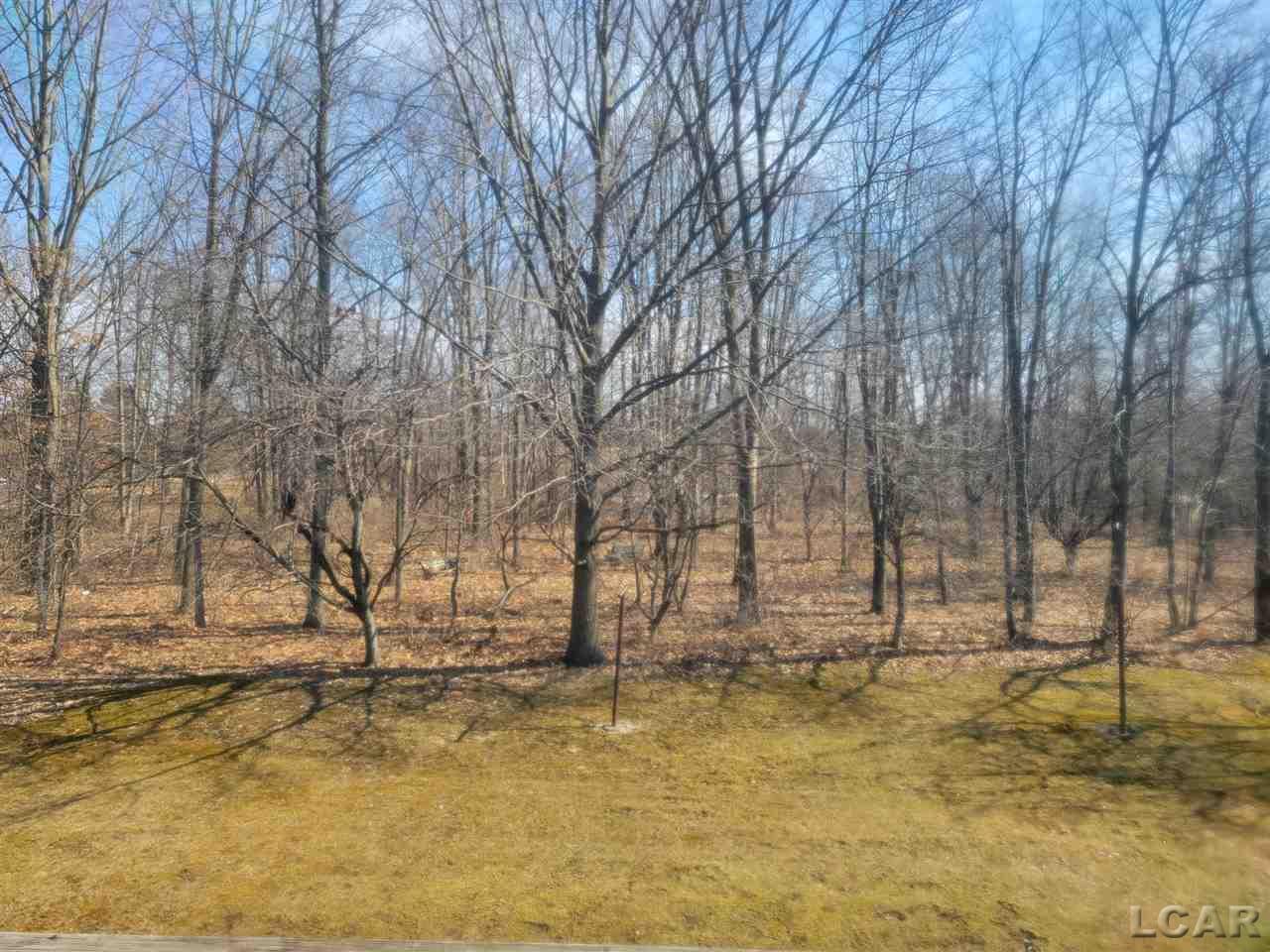 9475 Sheeler Road Onsted, MI 49265 - Photo 10 of 30