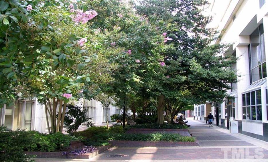304 Worth Street Raleigh, NC 27601 - Photo 26 of 29 Gallery Image 26