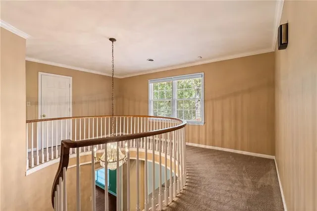 a view of a park with plants and trees