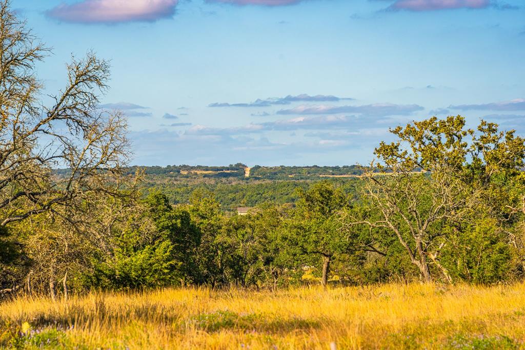 Lot 36 Reservation Road, Unit 36 Harper, TX 78631 - Photo 1 of 6 Main View