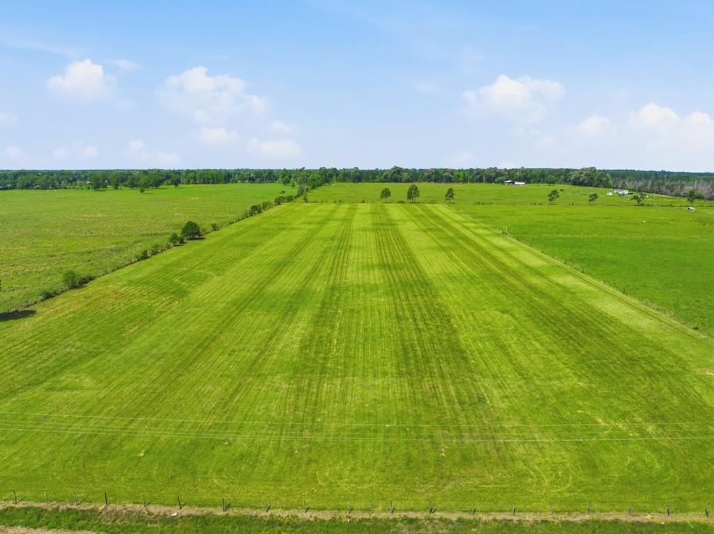 13018 Highway 113 Reeves, LA 70658 - Photo 1 of 7