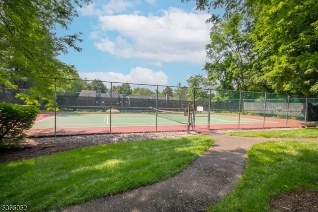 a view of a park with large trees