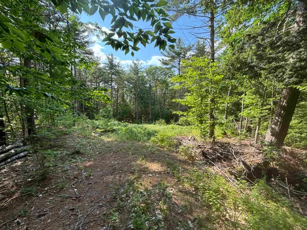 $119,900 | 0 Davis Hill Road, Unit 52, Center Conway, NH 03813