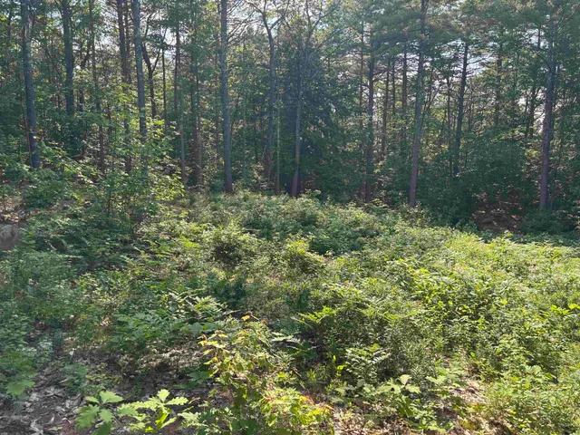 $119,900 | 0 Davis Hill Road, Unit 52, Center Conway, NH 03813