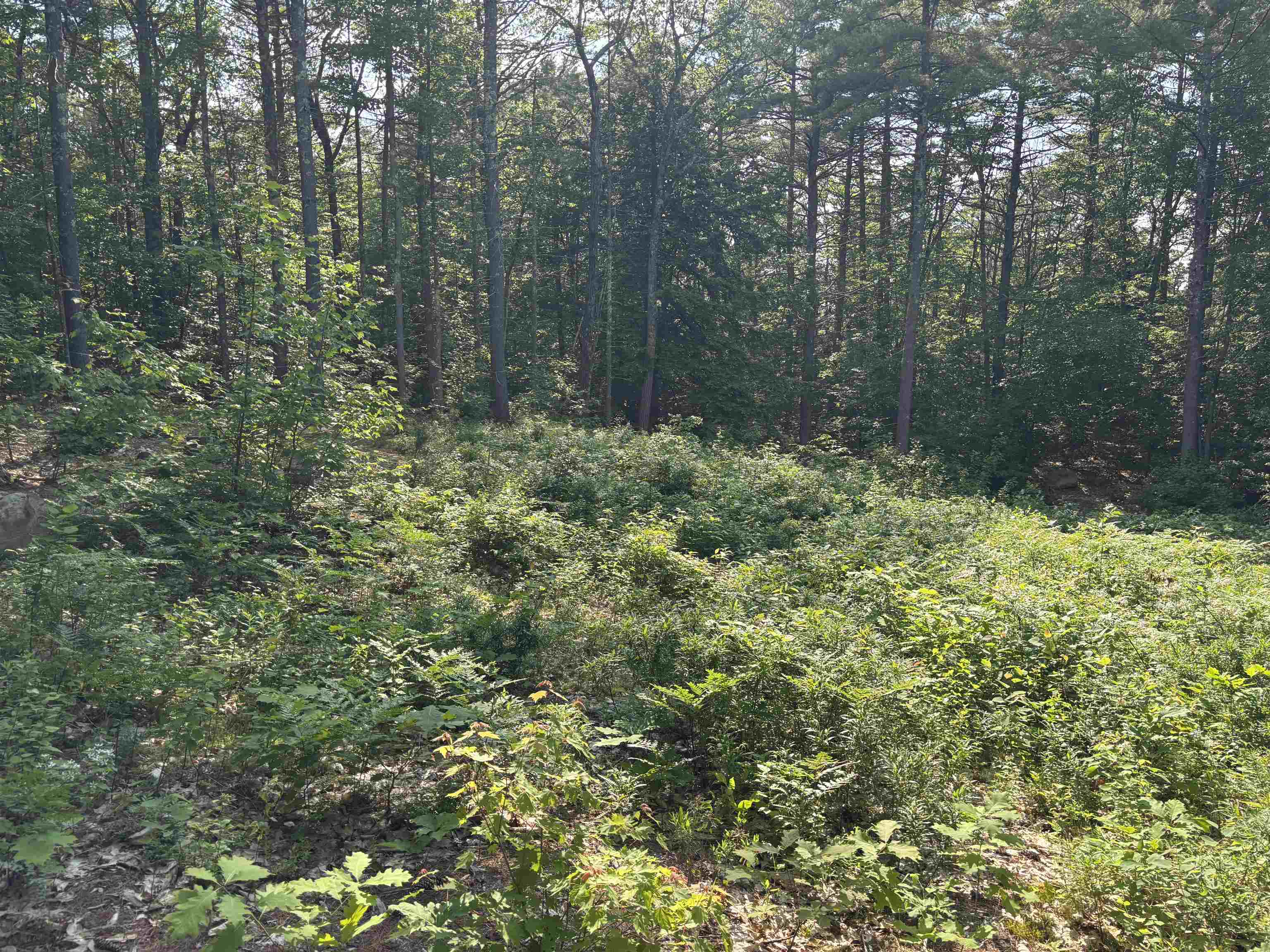 0 Davis Hill Road, Unit 52 Center Conway, NH 03813 - Photo 11 of 12