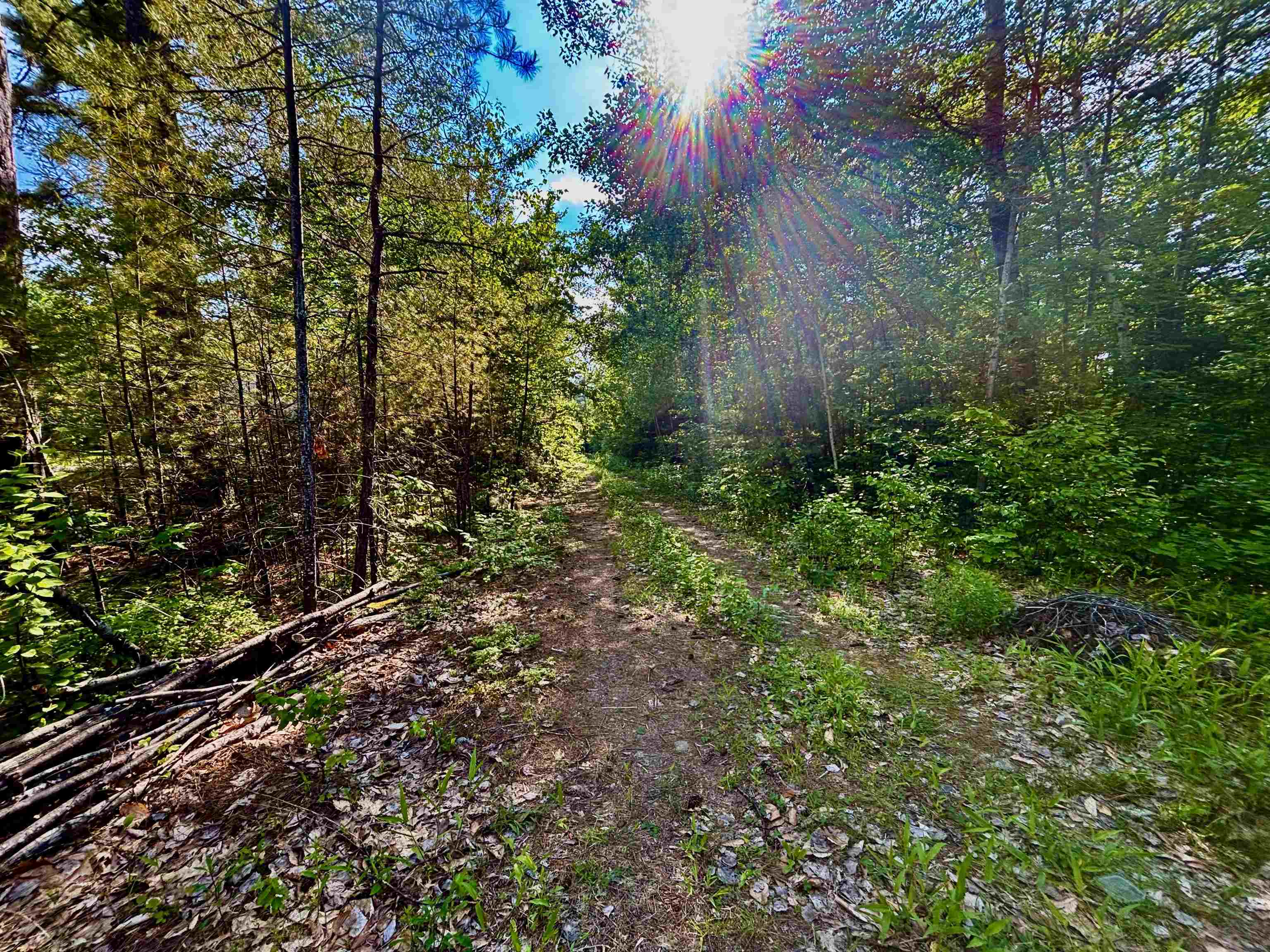 0 Davis Hill Road, Unit 52 Center Conway, NH 03813 - Photo 12 of 12