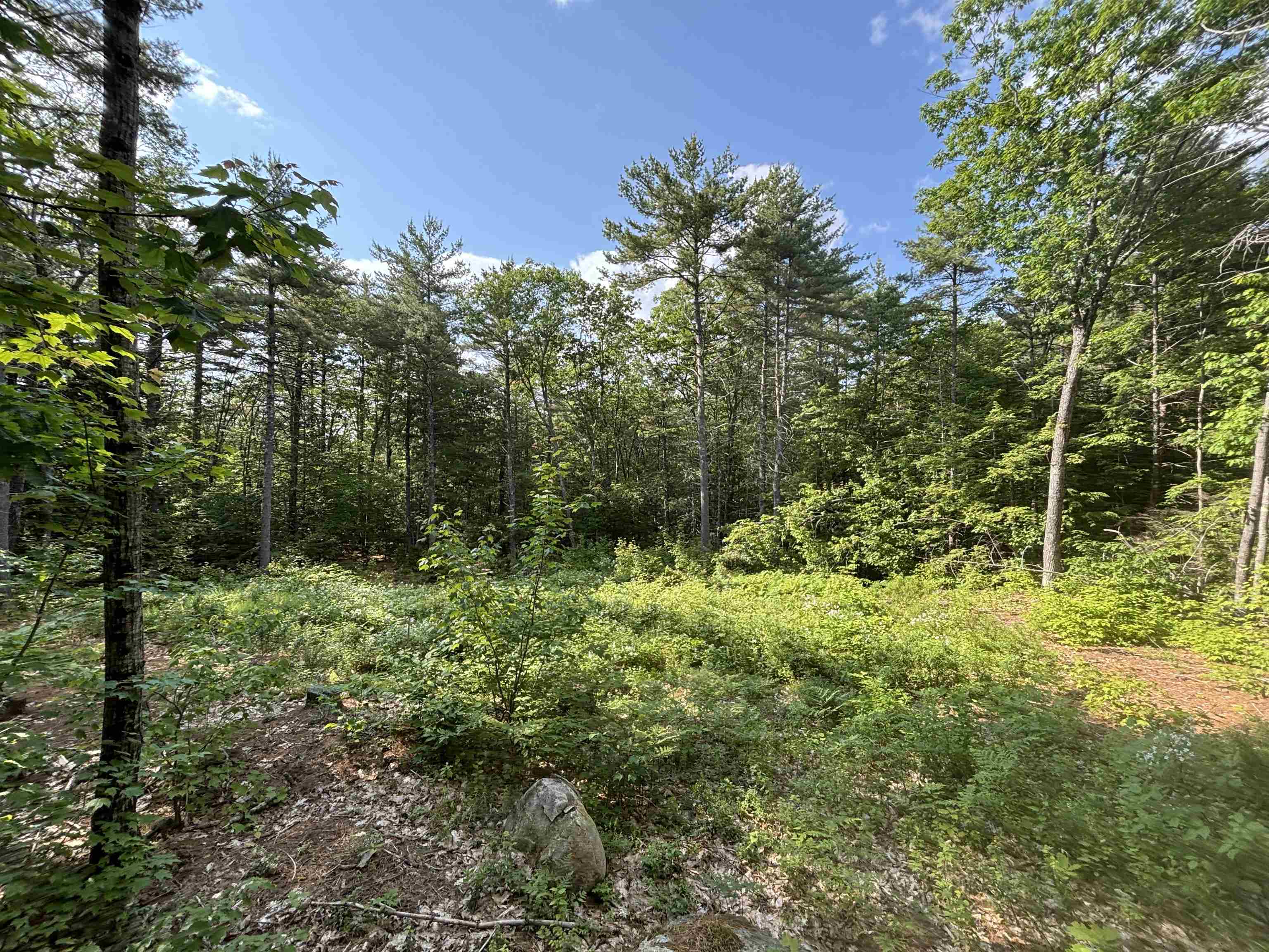 0 Davis Hill Road, Unit 52 Center Conway, NH 03813 - Photo 3 of 12