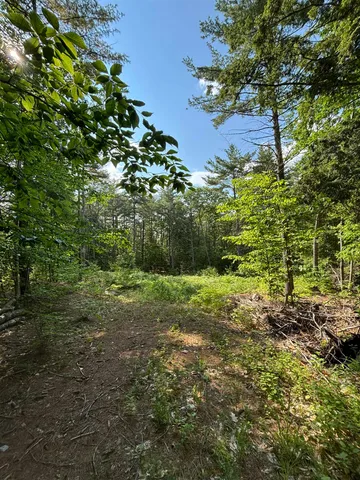 $119,900 | 0 Davis Hill Road, Unit 52, Center Conway, NH 03813