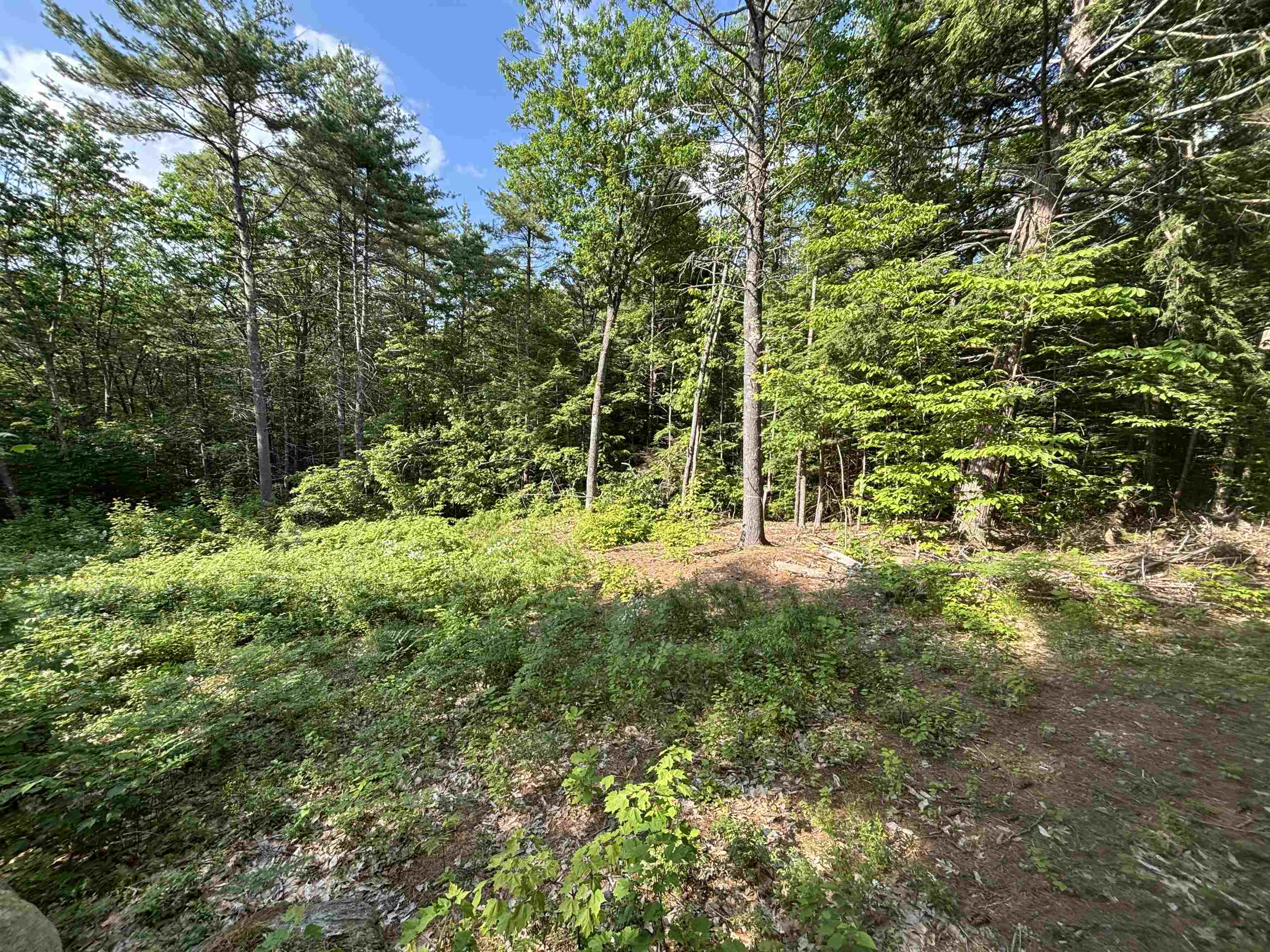 0 Davis Hill Road, Unit 52 Center Conway, NH 03813 - Photo 5 of 12