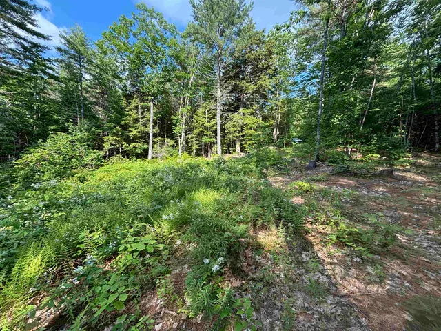 $119,900 | 0 Davis Hill Road, Unit 52, Center Conway, NH 03813