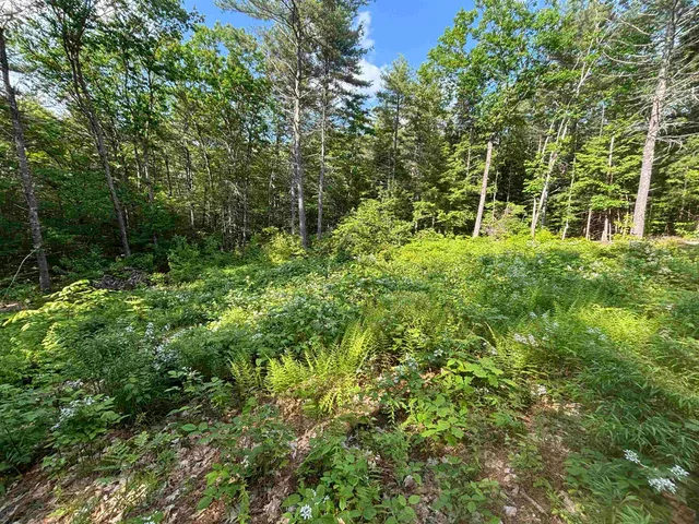 $119,900 | 0 Davis Hill Road, Unit 52, Center Conway, NH 03813