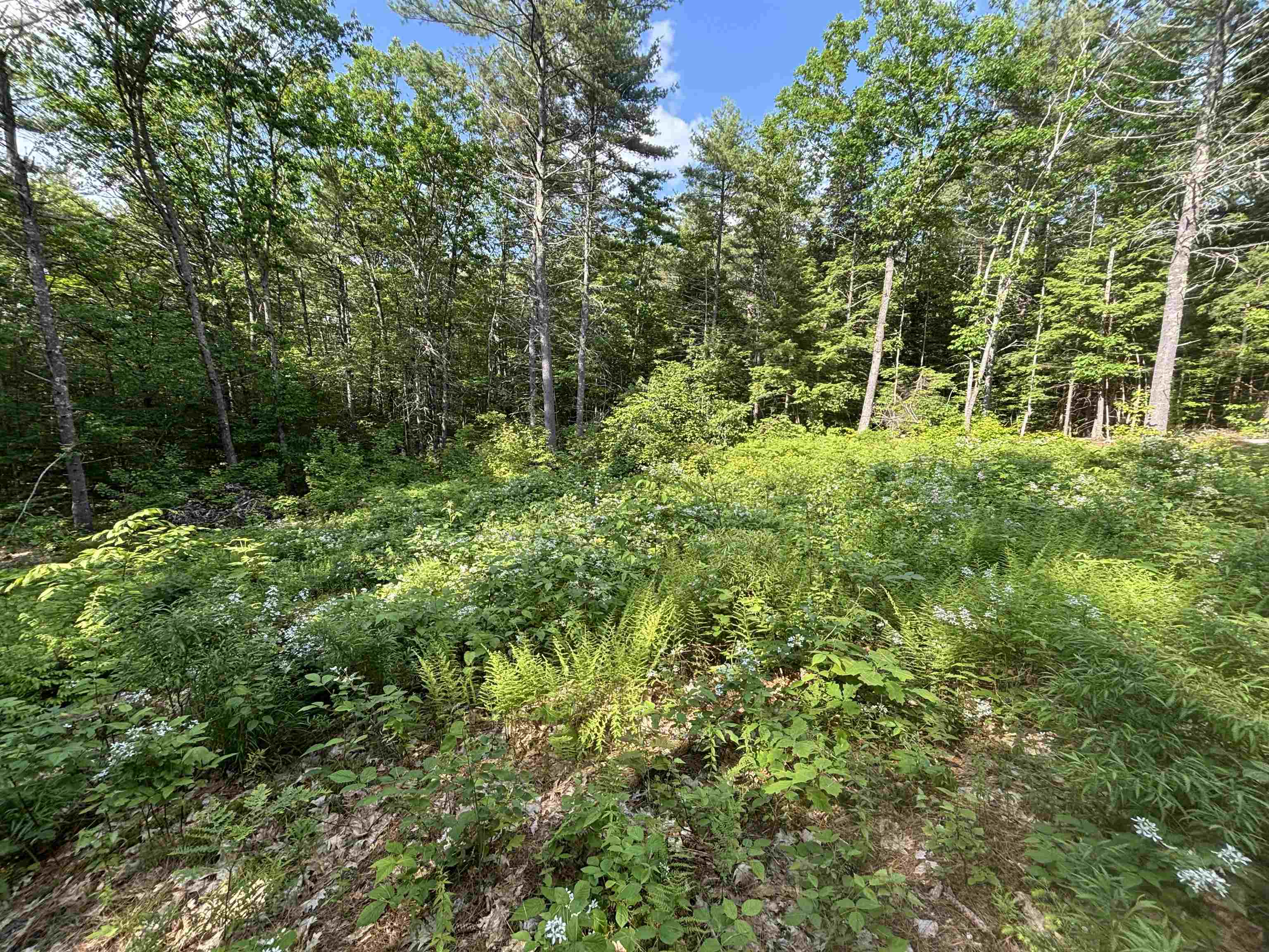 0 Davis Hill Road, Unit 52 Center Conway, NH 03813 - Photo 7 of 12