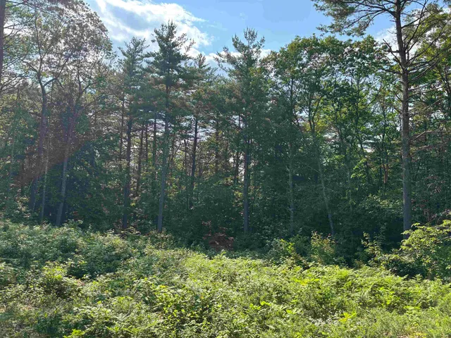 $119,900 | 0 Davis Hill Road, Unit 52, Center Conway, NH 03813