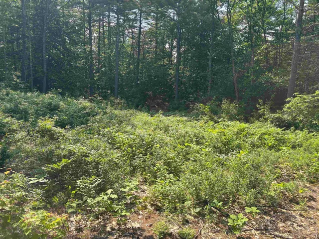 $119,900 | 0 Davis Hill Road, Unit 52, Center Conway, NH 03813