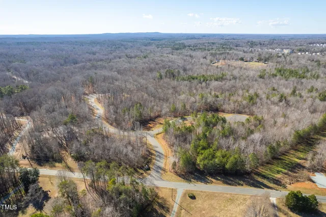 an aerial view of mountain with trees