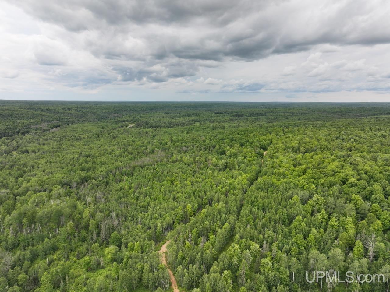 94-acres Off Bates Amasa Road Crystal Falls, MI 49920 - Photo 2 of 38