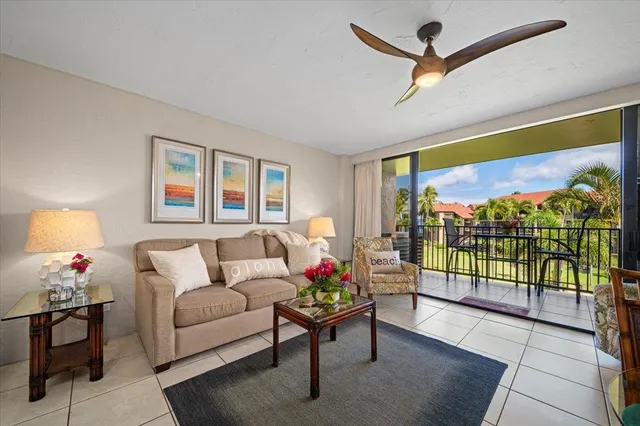 a view of a palm plant in a garden