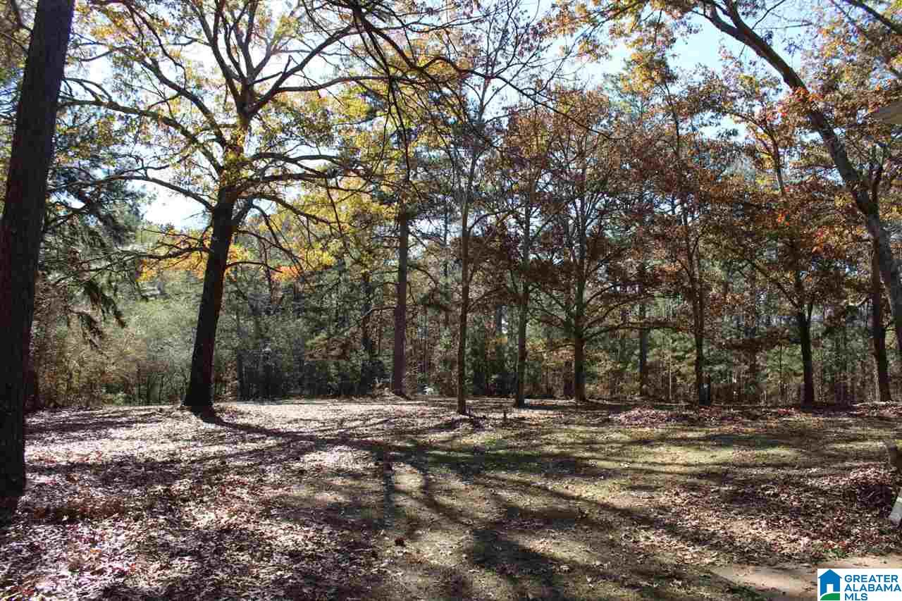 1711 Whittemore Road Jasper, AL 35503 - Photo 28 of 30