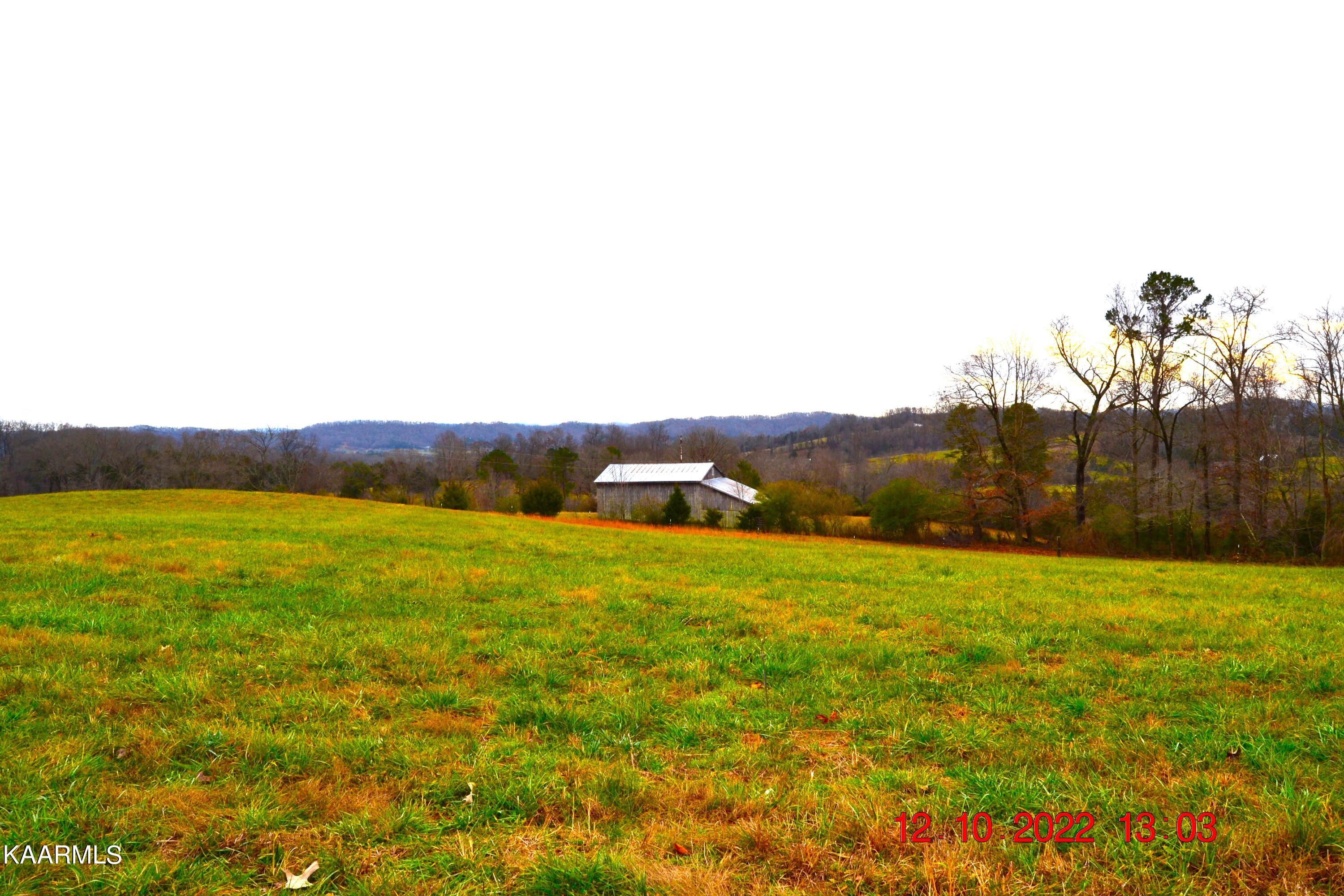 201 Cain Road Sharps Chapel, TN 37866 - Photo 11 of 35 DSC_0969