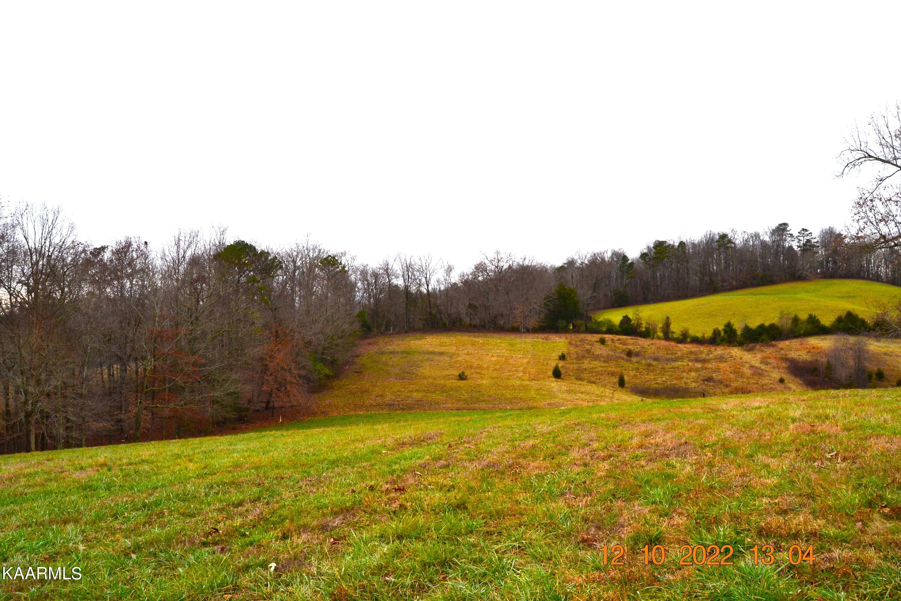 201 Cain Road Sharps Chapel, TN 37866 - Photo 13 of 35 DSC_0973