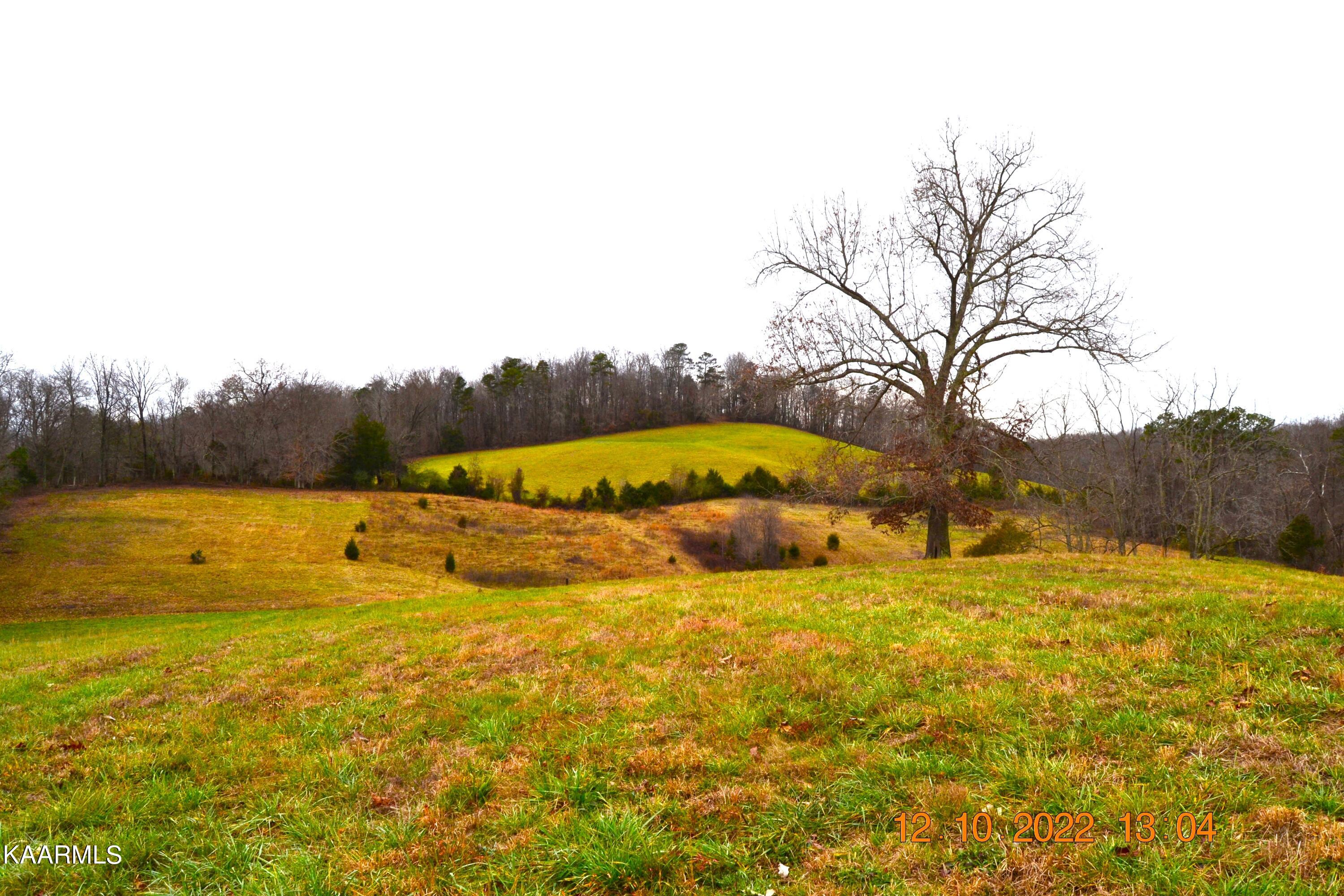 201 Cain Road Sharps Chapel, TN 37866 - Photo 14 of 35 DSC_0974