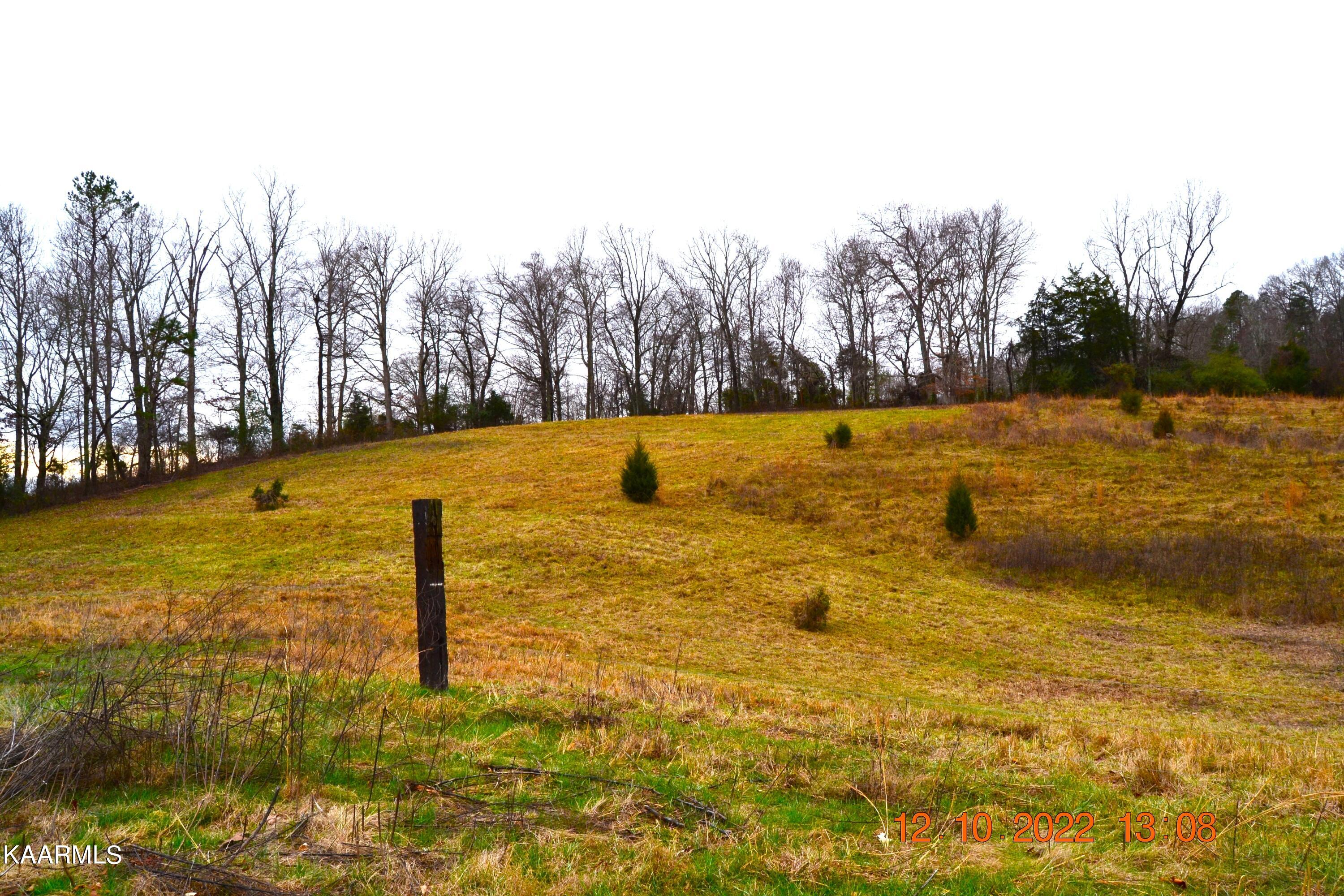 201 Cain Road Sharps Chapel, TN 37866 - Photo 15 of 35 DSC_0975