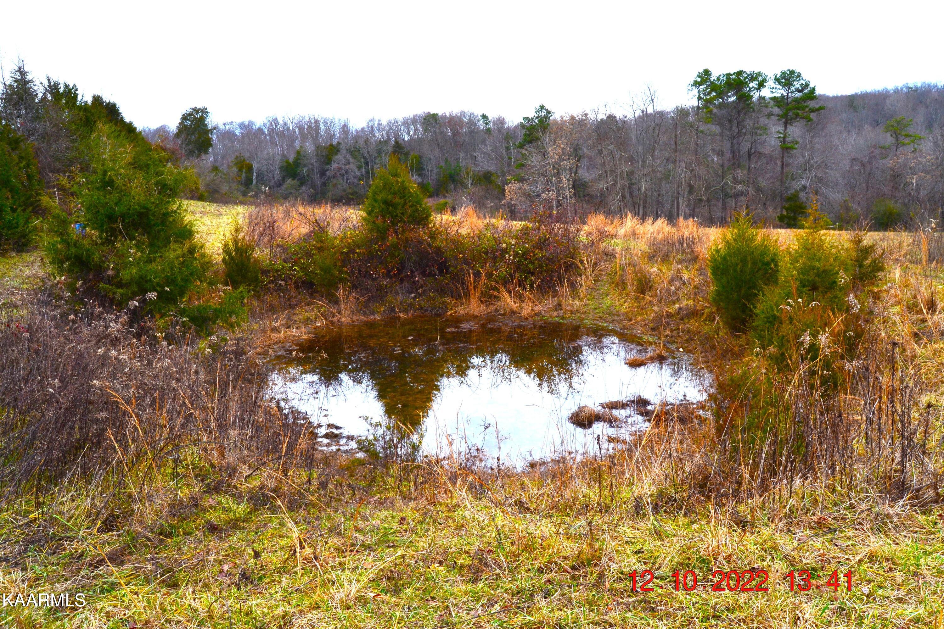 201 Cain Road Sharps Chapel, TN 37866 - Photo 16 of 35 DSC_1000