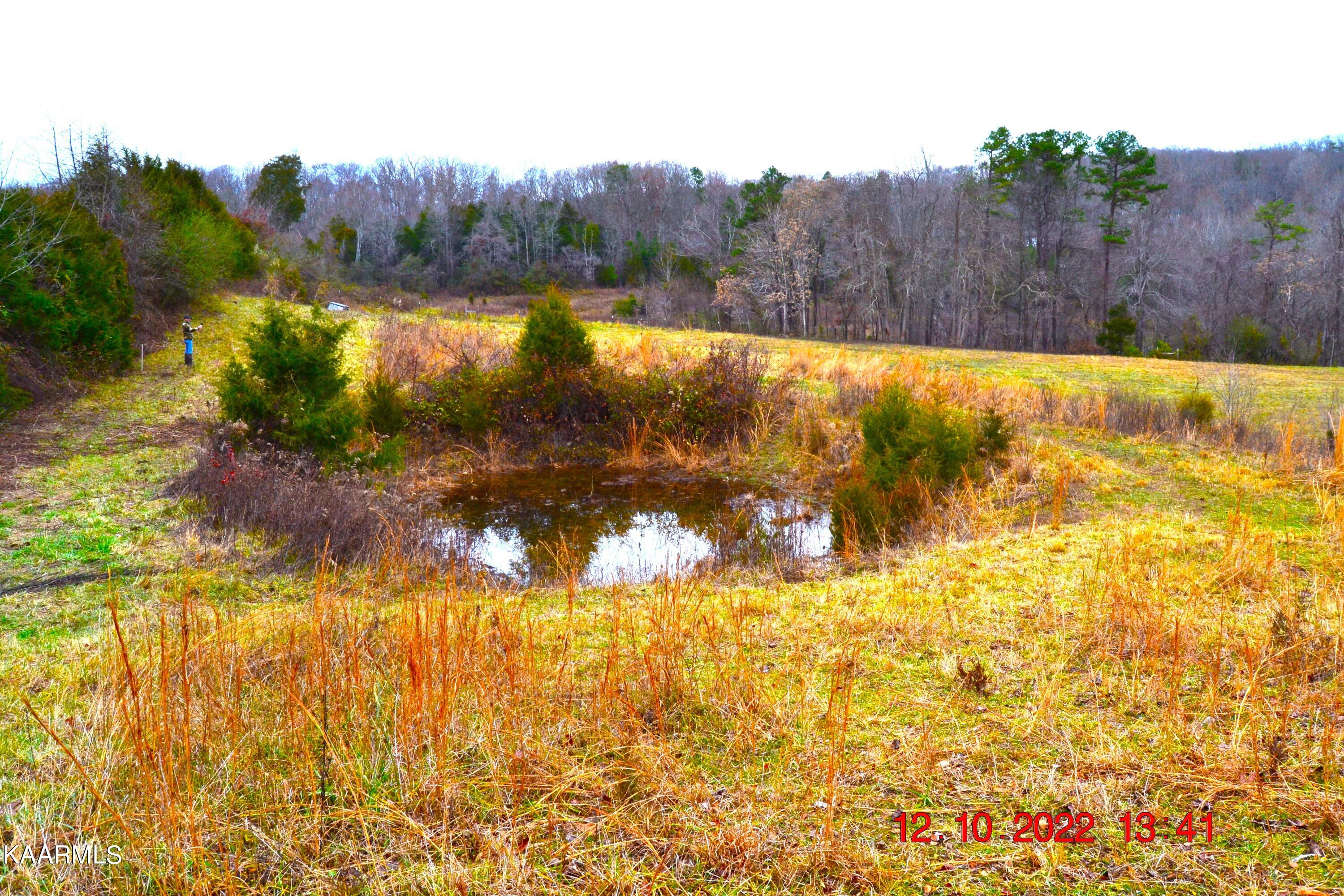 201 Cain Road Sharps Chapel, TN 37866 - Photo 20 of 35 DSC_1001