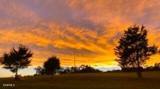 201 Cain Road Sharps Chapel, TN 37866 - Photo 21 of 35 IMG950984