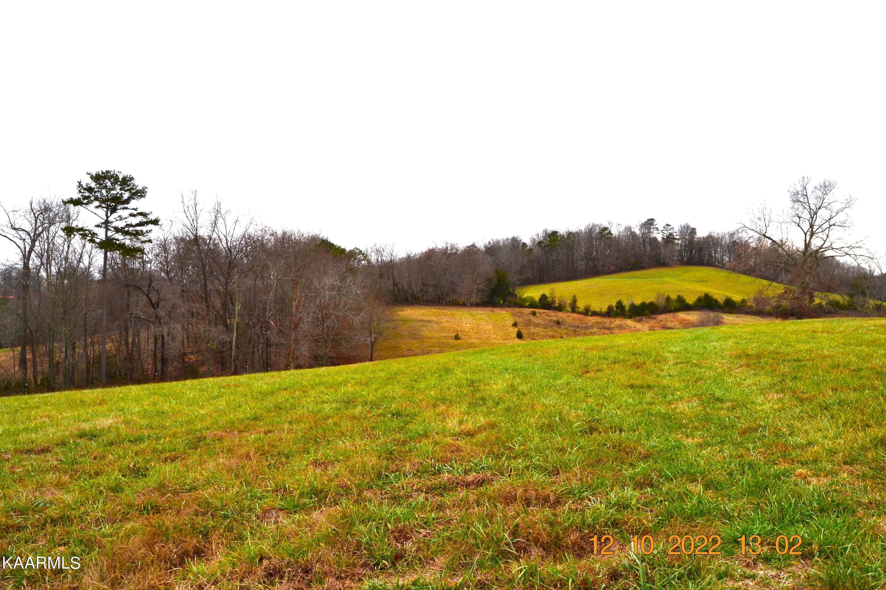 201 Cain Road Sharps Chapel, TN 37866 - Photo 5 of 35 DSC_0964