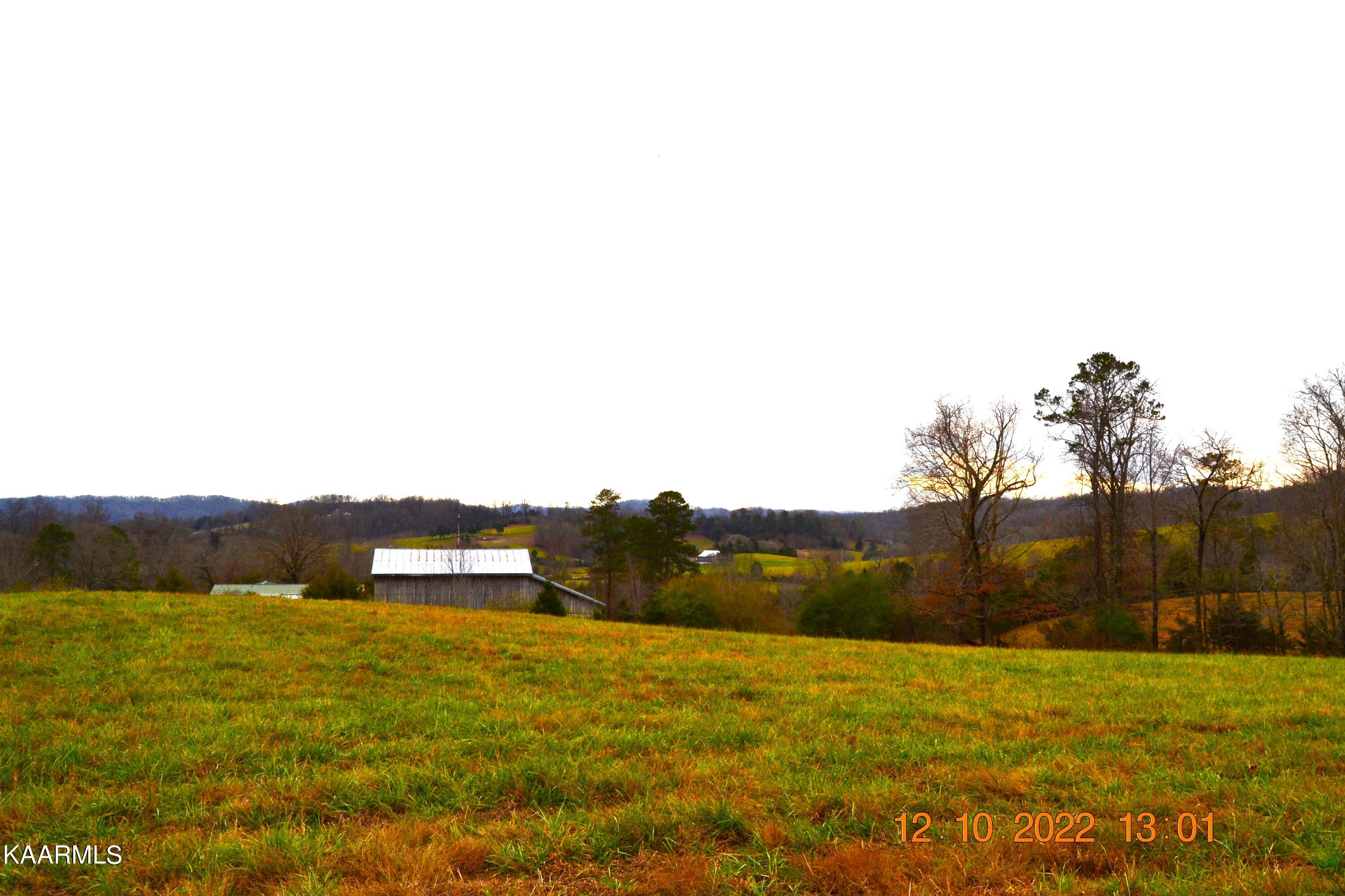 201 Cain Road Sharps Chapel, TN 37866 - Photo 8 of 35 DSC_0963