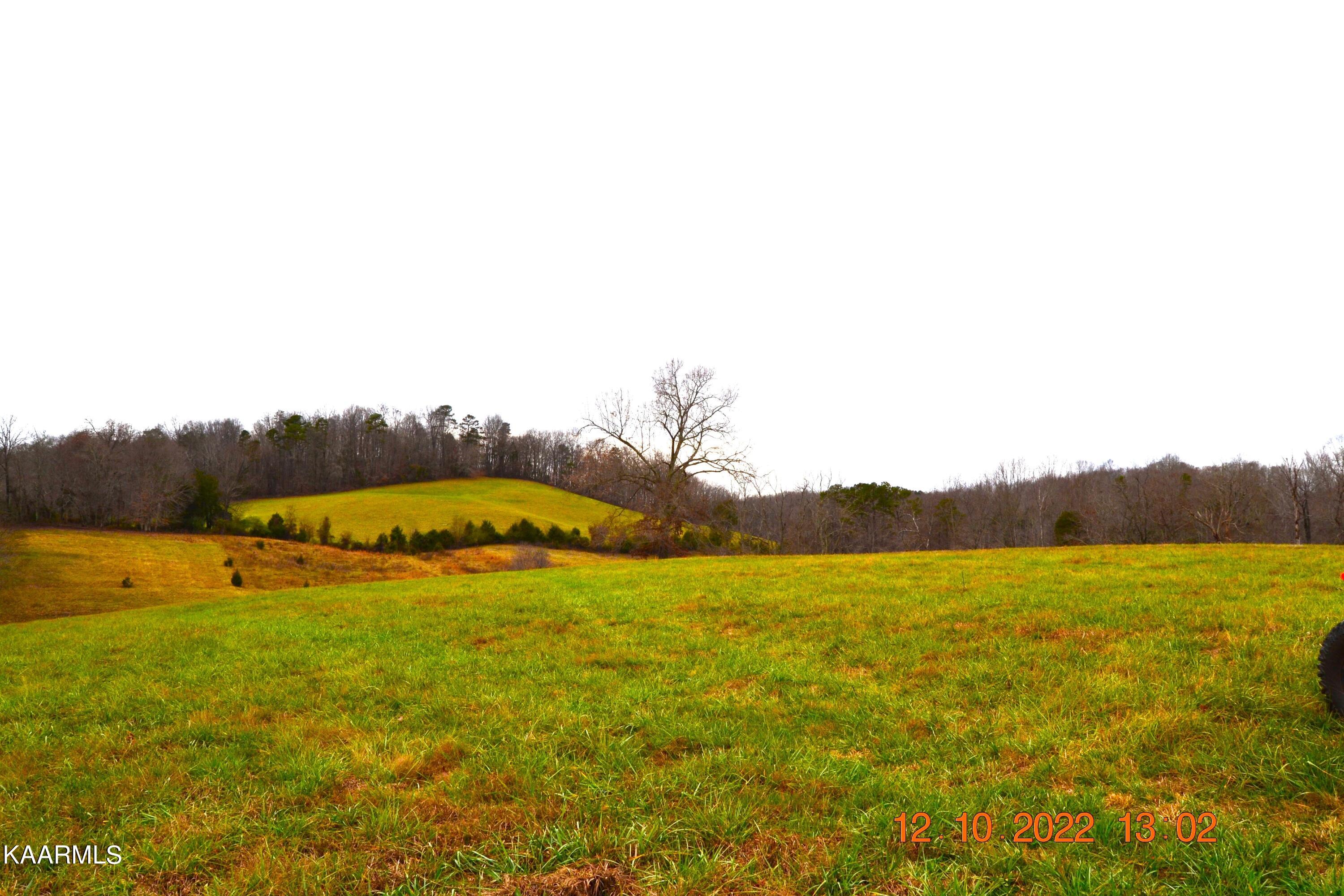 201 Cain Road Sharps Chapel, TN 37866 - Photo 9 of 35 DSC_0965