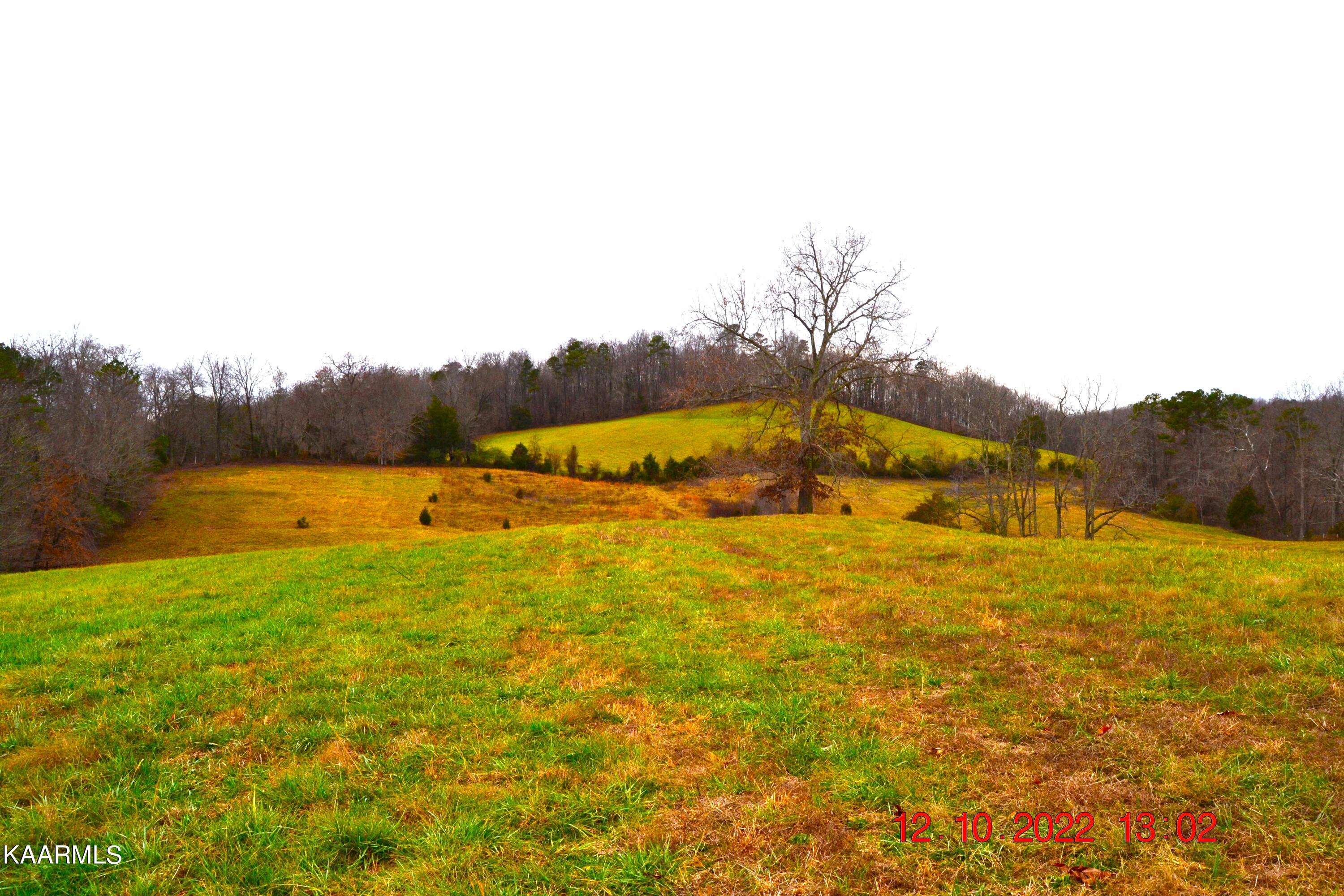 201 Cain Road Sharps Chapel, TN 37866 - Photo 10 of 35 DSC_0968