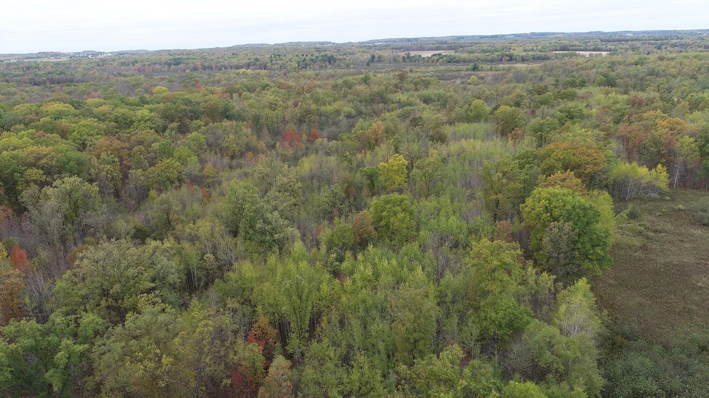 0 20th Avenue Cadott, WI 54727 - Photo 11 of 18