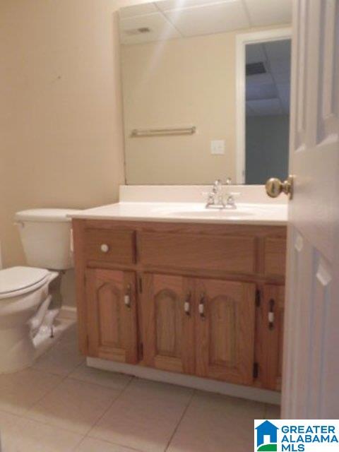 257 South Hillcrest Road Odenville, AL 35120 - Photo 36 of 41
