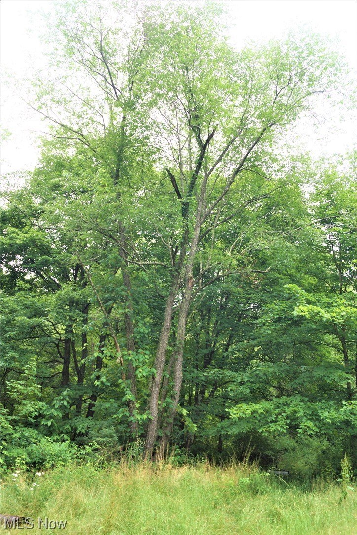 7403 Cavalry Road Amsterdam, OH 43903 - Photo 15 of 15 Gallery Image 15