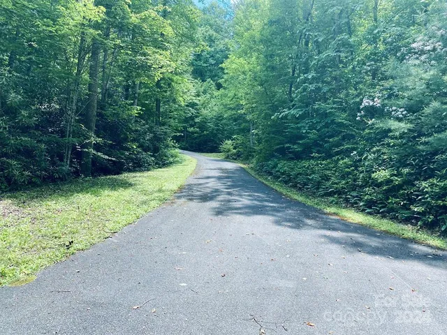 a view of a garden with plants
