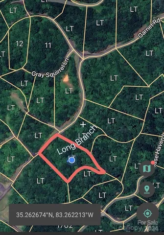 a view of a street with plants and large trees