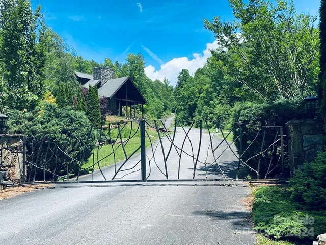 a view of bushes and pathway