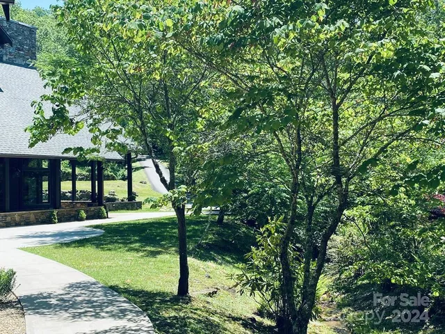 a plant with lots of flowers