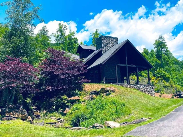a view of backyard with a garden and trees